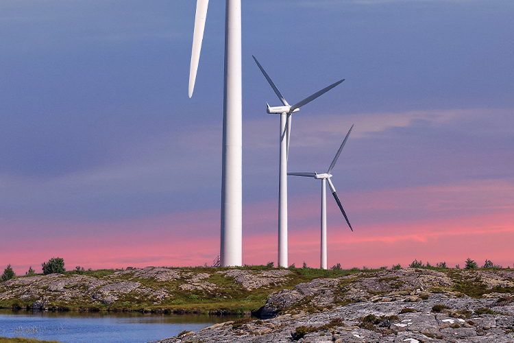 Close-up of windmills